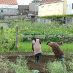 Impressie Noord Portugal - werken in de tuin